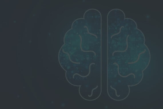 Enversion — Brand Website